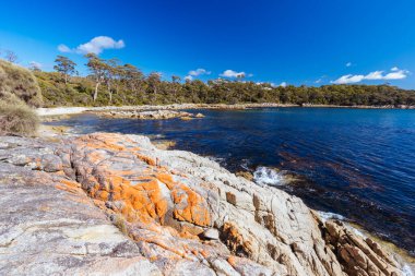 Lichen, Avustralya 'nın Binalong Körfezi' ndeki Yangınlar Körfezi 'ndeki Point of Nature Recreation Area' daki Skeleton Bay Walk Humbug 'daki kaya oluşumlarını araştırdı.