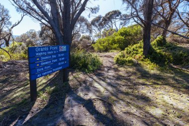 Avustralya, Binalong Körfezi 'ndeki Yangınlar Körfezi' nde Humbug Point Doğa Rekreasyon Bölgesi 'nde İskelet Körfezi Yürüyüşü