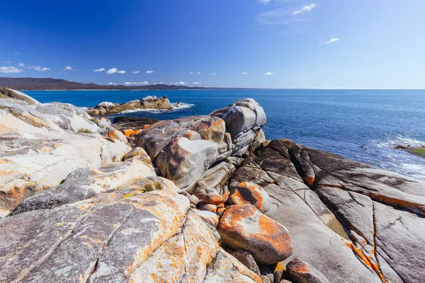 Lichen Täckte Klippformationer Skeleton Bay Walk Humbug Vid Point Nature — Stockfoto