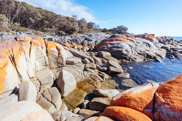 Formazioni Rocciose Ricoperte Licheni Sulla Skeleton Bay Walk Humbug Point — Foto Stock