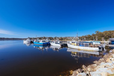 St. HELENS, TASMANIA - 20 Eylül 2022 'de Avustralya' nın Tazmanya kentinde Percy Steel Reserve 'den Beauty Bay' in rıhtım bölgesinin görüntüsü