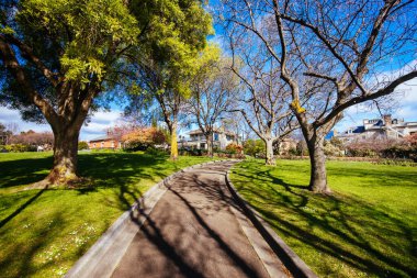 Princes Park Battery Point, Hobart, Tazmanya, Avustralya 'da ılık bir bahar sabahı