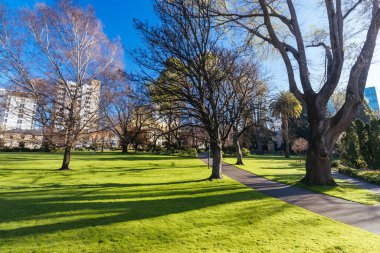Saint Davids Parkı Battery Point, Hobart, Tazmanya, Avustralya 'da ılık bir bahar sabahı
