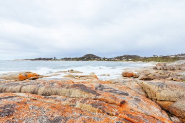 Meşhur Bicheno Havadeliği Tazmanya, Avustralya 'daki Ateş Koyu yakınlarında popüler bir turistik merkezdir.