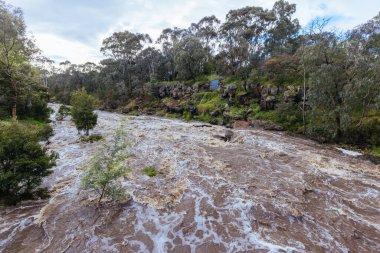 MELBOURNE, AUSTRALYA - 14 Ekim: Darebin Parklands 14 Ekim 2022 'de Victoria, Avustralya' da ağır sel bastı. La Nina hava durumu Victoria boyunca rekor seviyede yağmur yağmasına neden oluyor..