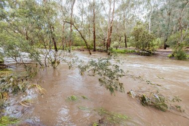 MELBOURNE, AUSTRALYA - 14 Ekim: Darebin Parklands 14 Ekim 2022 'de Victoria, Avustralya' da ağır sel bastı. La Nina hava durumu Victoria boyunca rekor seviyede yağmur yağmasına neden oluyor..