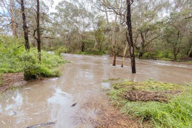 MELBOURNE, AUSTRALYA - 14 Ekim: Darebin Parklands 14 Ekim 2022 'de Victoria, Avustralya' da ağır sel bastı. La Nina hava durumu Victoria boyunca rekor seviyede yağmur yağmasına neden oluyor..