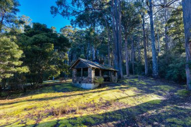 Tazmanya, Avustralya 'da soğuk bir bahar öğleden sonrasında Russel Şelalesi yakınlarındaki Mt. Field Ulusal Parkı' nda ücra bir kulübe.