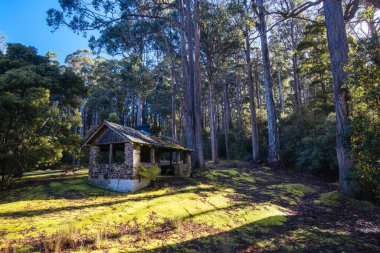 Tazmanya, Avustralya 'da soğuk bir bahar öğleden sonrasında Russel Şelalesi yakınlarındaki Mt. Field Ulusal Parkı' nda ücra bir kulübe.
