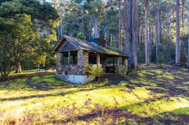 Tazmanya, Avustralya 'da soğuk bir bahar öğleden sonrasında Russel Şelalesi yakınlarındaki Mt. Field Ulusal Parkı' nda ücra bir kulübe.