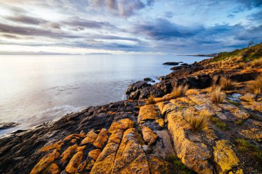 Freycinet Yarımadası 'nın Swansea, Tazmanya Avustralya' dan yükselen güneşine doğru bir manzara