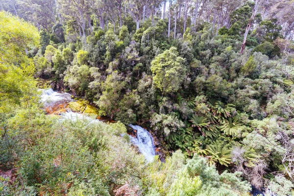 Krajina Populárních Halls Falls Dostatkem Vody Teplý Jarní Den Pyengana — Stock fotografie