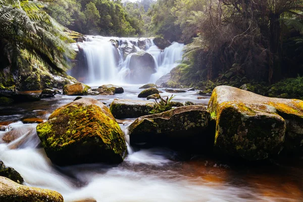 Популярні Водоспади Великою Кількістю Води Теплий Весняний День Піенгані Тасманія — стокове фото