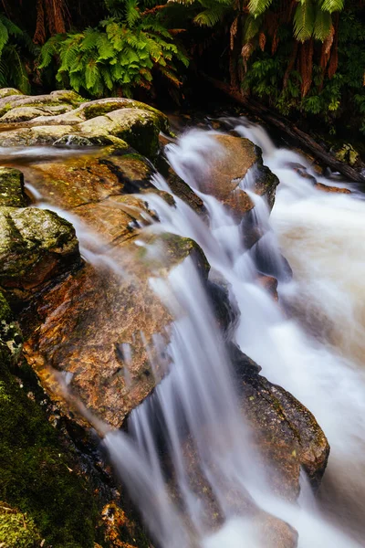 Популярні Водоспади Великою Кількістю Води Теплий Весняний День Піенгані Тасманія — стокове фото