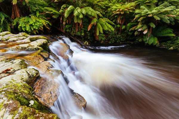 Paisaje Las Populares Salas Falls Con Abundante Agua Cálido Día — Foto de Stock