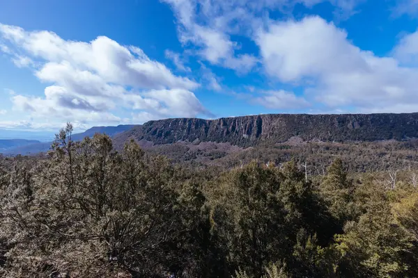 Highland Lakes Road Ascent Central Plateau Conservation Area Liffey Forest — Fotografia de Stock