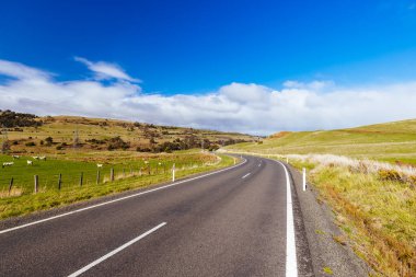 Tazmanya, Avustralya 'daki Ouse yakınlarındaki Central Plato Koruma Alanı' nda dönen Lyell Hwy.
