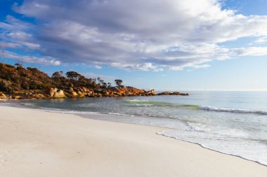 Simgesel liken, Binalong Körfezi, Tazmanya, Avustralya yakınlarındaki Yangınlar Körfezi 'ndeki kayaları ve turkuaz okyanus suyunu kapladı.