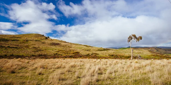 Voorjaarslandschap Het Centraal Plateau Conservation Area Bij Ouse Tasmanië Australië — Stockfoto