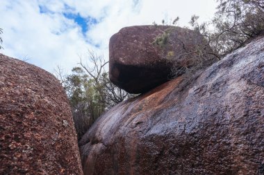 Freycinet Yarımadası 'ndaki patikalar ve manzaralar Freycinet Ulusal Parkı, Tazmanya, Avustralya' da ılık ve nemli bir bahar gününde yürüyüş yapar.