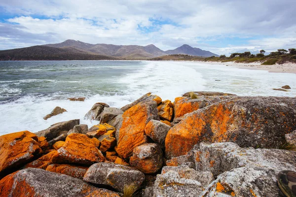 Wineglass Bay Beach Sus Rocas Liquen Naranja Día Duro Península — Foto de Stock