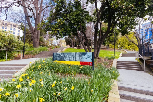 Franklin Square Egy Meleg Tavaszi Délután Hobart Cbd Tasmania Ausztrália — Stock Fotó