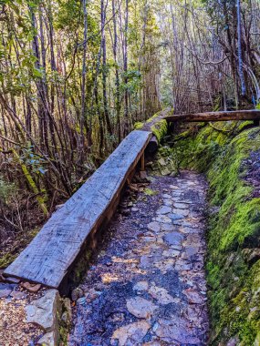 HOBART, AUSTRALIA - 14 SEPTEMBER 2022: Hobart, Tazmanya, Avustralya 'da bahar zamanı boyunca Wellington Dağı' nın doğu yakasında popüler yürüyüş ve bisiklete binme kabiliyeti