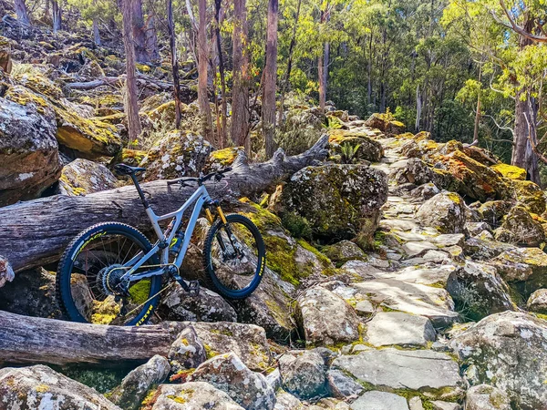 Hobart Österrike September 2022 Den Populära Vandrings Och Cykelleden North — Stockfoto