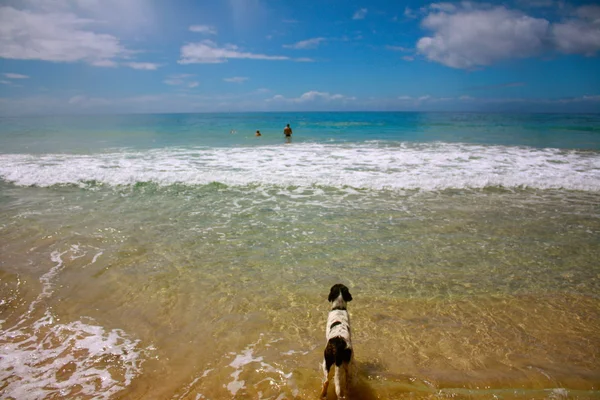 Wait For Me — Stock Photo, Image