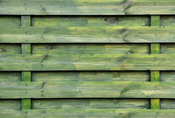 Fondo o textura de madera verde —  Fotos de Stock