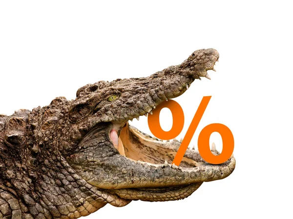 Percentagem de sinais comidos por crocodilo para venda, acidente ou desconto . — Fotografia de Stock