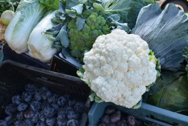 Çiftçi pazarına satışa olgun karnabahar