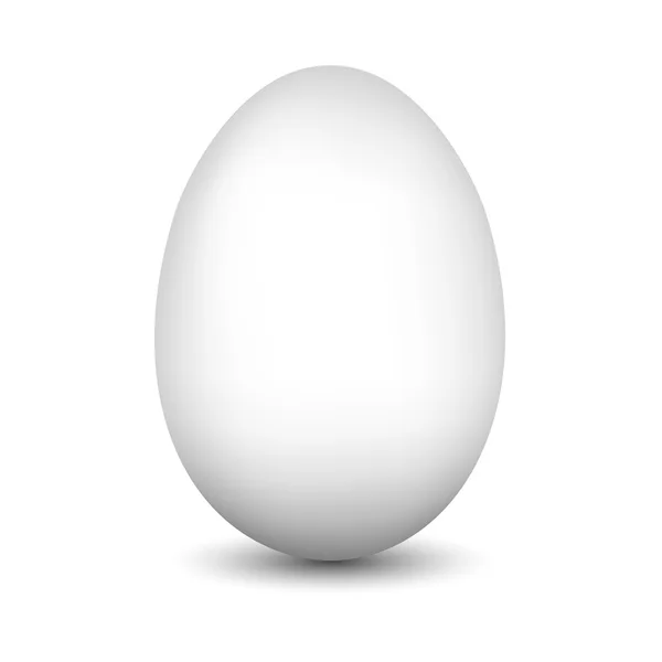 White egg — Stock Photo, Image