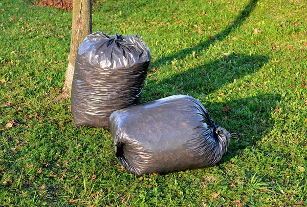 Une scène d'automne avec des sacs de feuilles sur l'herbe — Photo