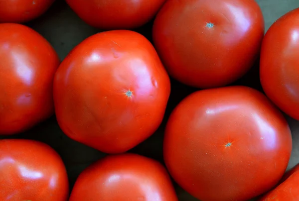 Bir çiftçi pazarda sebze taze domates. arka plan — Stok fotoğraf