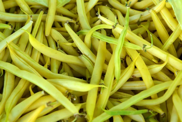 Harvested beans for sale at farmers market. Background. — Stock Photo, Image