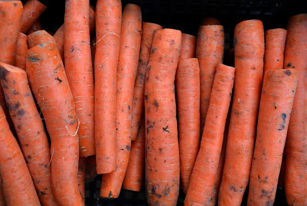 Свежая садовая морковь для продажи на фермерском рынке. Фон — стоковое фото