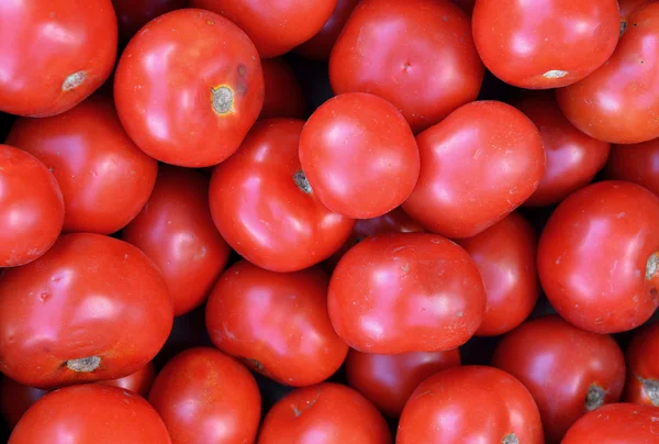 Tomates fraîches légumes à un marché fermier. Contexte — Photo