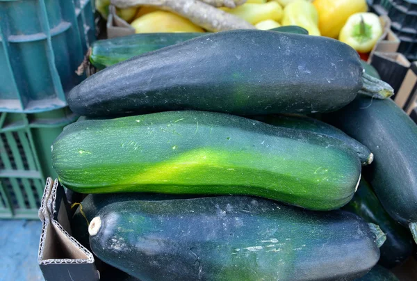 Dovlecei organici de vânzare pe piața agricolă. Contextul — Fotografie, imagine de stoc