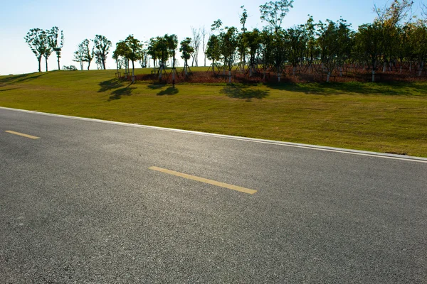 Autostrada accanto ai boschi — Foto Stock