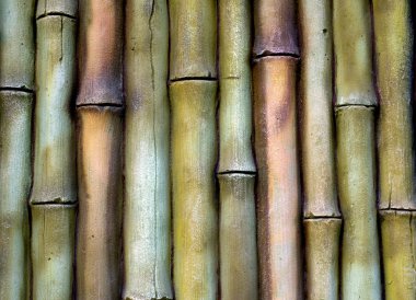 Bambu Arkaplanı.
