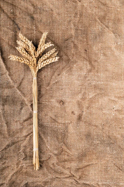 Wheat ears on a textile background. — Stock Photo, Image