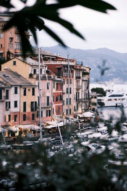 Portofino limanının manzarası, kayıkları ve pastel renkli evleriyle dağdan ağaçların ve yaprakların arasında.