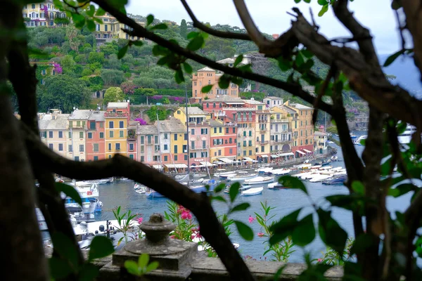 Kolorowe Domy Portofino Naturalnym Łukiem Liści Morzu Śródziemnym Łodzi — Zdjęcie stockowe