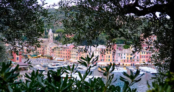 Vista Del Puerto Portofino Con Sus Barcos Casas Colores Pastel — Foto de Stock