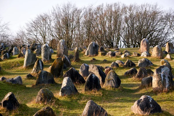 Viking Graveyard Lindholm Hoje 700 000 Aalborg North Jutland Denmark — Stock Photo, Image