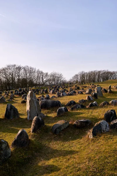 Viking Graveyard Lindholm Hoje 700 000 Aalborg North Jutland Denmark — Zdjęcie stockowe