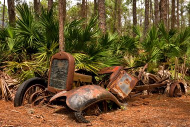 eski terk edilmiş bir florida ormanda