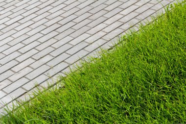 yeşil çim ve asfalt