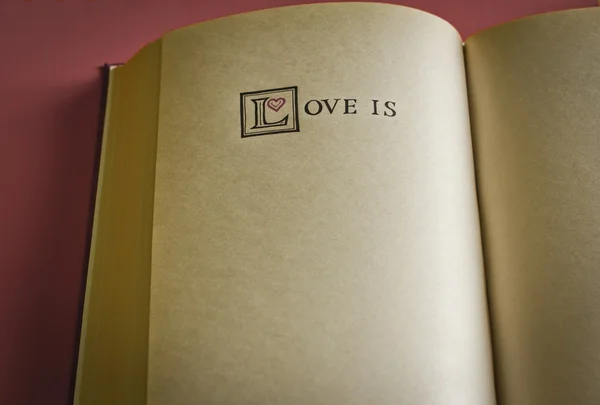 Estilo vintage El amor es palabras en el libro en blanco. Con espacio para tu texto lo que es el amor . — Foto de Stock